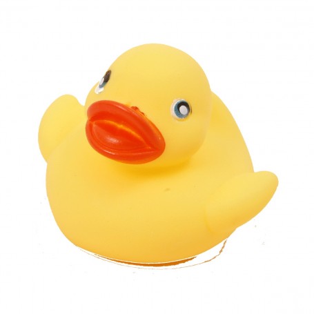 Mini Rubber Duck